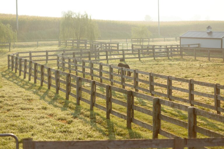 horse fences